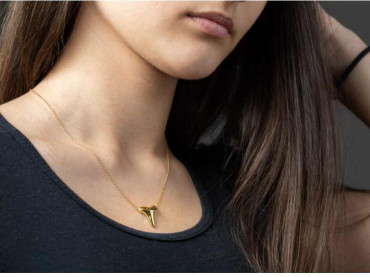 Collar Oro Colgante Diente Tiburon