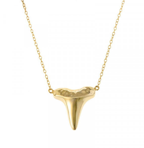 Colgante Oro Diente de Tiburon